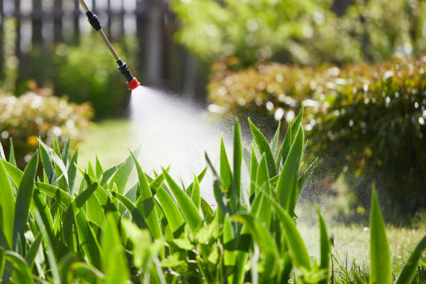 Tamper-Resistant Bait Stations for Rodents in El Monte