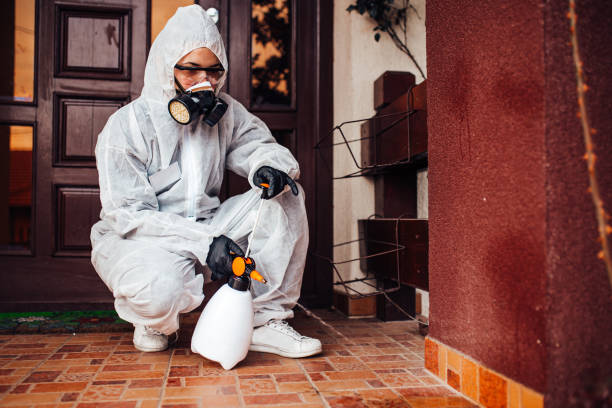 Attic and Crawl Space Rodent Treatment in El Monte